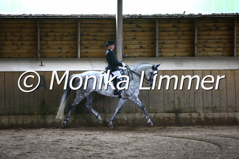 006M5254_Dressurpferde L.JPG